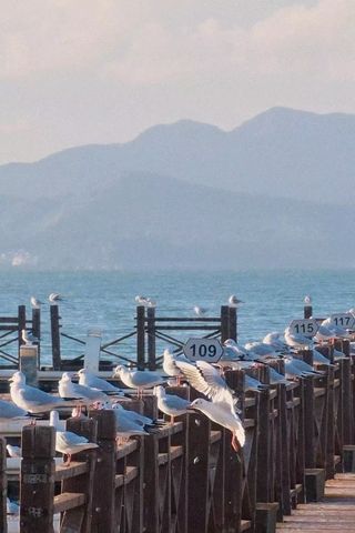 ✨昆明隐藏的仙境!古滇湿地公园一日游,美到不想回家!✨