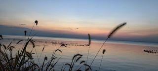 姑苏城外寒山寺苏州五日闲游