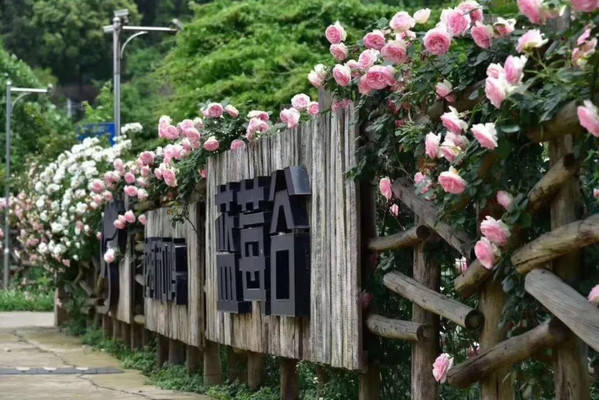 花涧和鸣蓝莓一站式农业综合园区