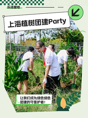上海公益环保植树节团建 超详细攻略❗