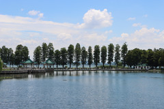 恩施土家族苗族自治州游记图片] 2023年恩施武汉暑假八日游