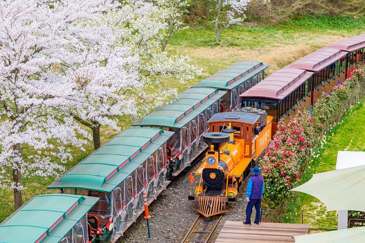 春夏最適合遊玩的景點之。