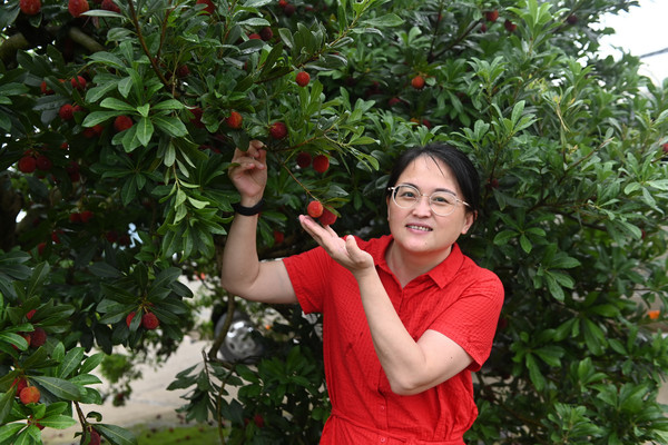 暑期研学|怀化慢旅行,采摘杨梅和逛古城吧(组图)