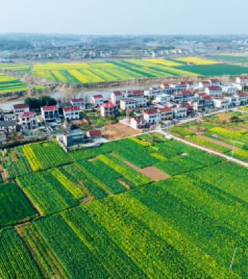 望江游记图文-赏春风，咏油菜花，看天鹅起舞：安徽望江2日2晚春光之旅