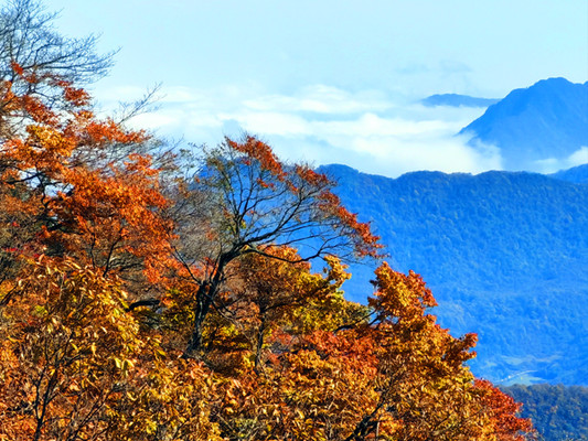 陕西旅游:从登龙头山到观兴汉胜境(图)