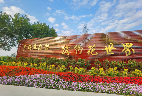 佛山市民国庆出游不用出家门，三水这个花主题景区将游客拉回春天