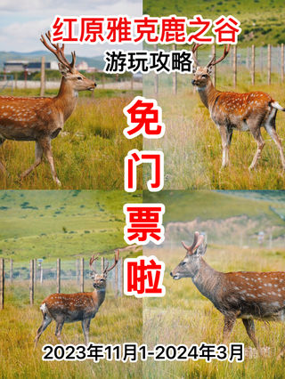 冬游川西高原:雅克鹿之谷的围炉煮茶与美妙景色