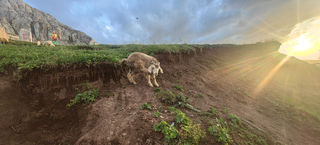 7月新疆行，我的第一篇游记记录生活~