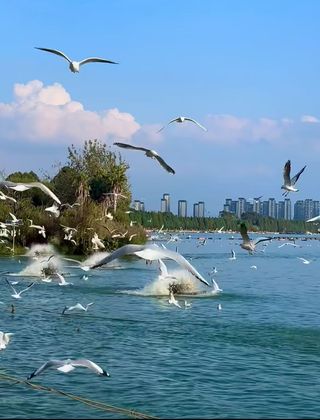 这次昆明之行超惊喜的发现！🌟