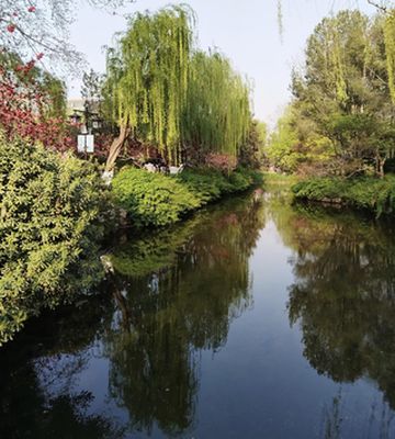 清明打卡山东周边 来吃淄博烧烤啦