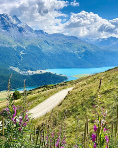 圣莫里茨游记图文-来瑞士圣莫里茨，过一个五彩缤纷的夏天