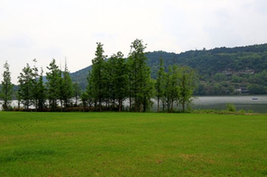 大手牵小手-射洪亲子研学奇遇记