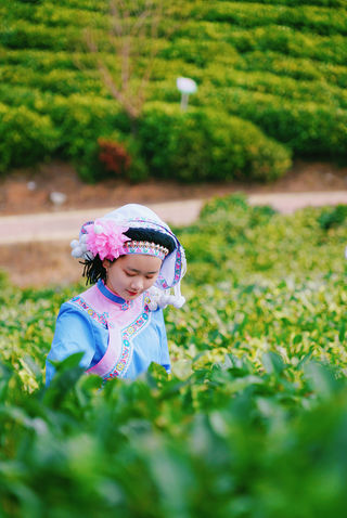 来黔西南过新年，看亿万年的喀斯特地貌，品普安新茶、住童话城堡