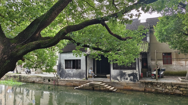 芦墟行纪