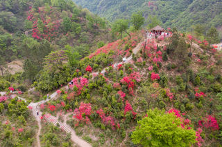 金寨：在红岭深处邂逅春的私语