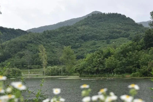 乡游黔中·大方县 民生村丨花开田园，邂逅别样白族风情
