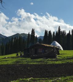 巴音布鲁克景区游记图文-西北向西，探寻最美八月新疆的诗和远方