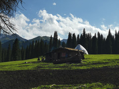伊宁市游记图片] 西北向西，探寻最美八月新疆的诗和远方