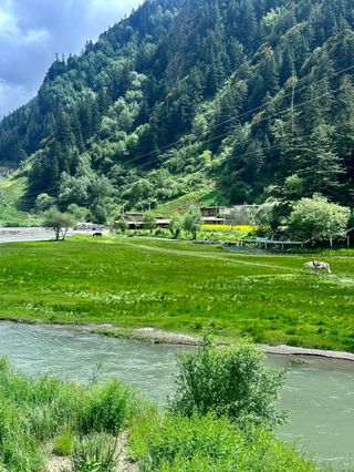 暑假带你去川西免门票的人少景美的地方露营去