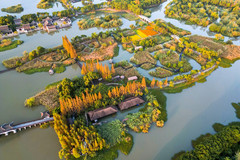 沙家浜风景区游记图片] 小聚沙家浜，秋深情更浓