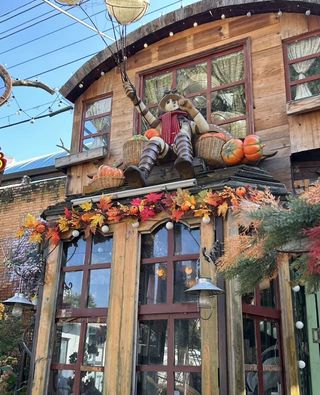 昆明爱丽丝的童话小屋!这家店美到失语✨