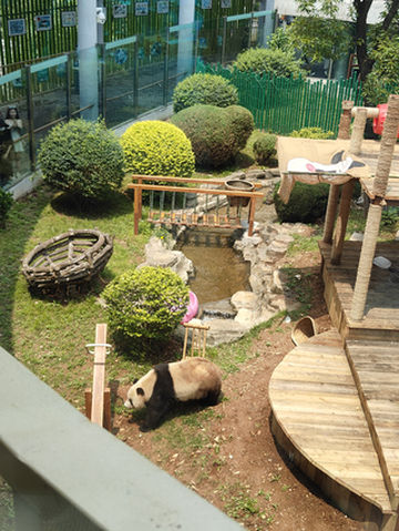 六月底带着父母来大连四日游