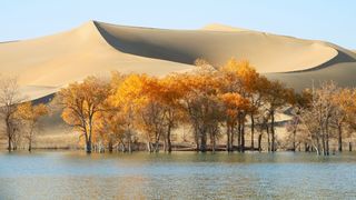 沙漠边的罗布人村寨和葫芦岛