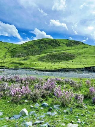 隐藏在川西神级的夏天-姑弄村