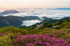 陕川郡游记图文-欣赏自然美景，静心旅行优选之地-陕川郡