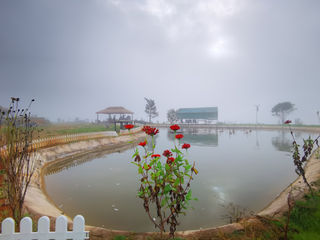 南靖土楼云水谣归田园居民宿游记