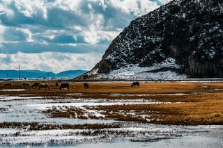 【迪庆验客】漫游香格里拉,重拾心中的日月