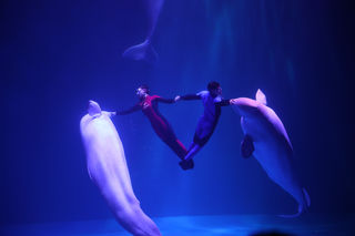 冰天雪地游龙江 魅力哈大齐