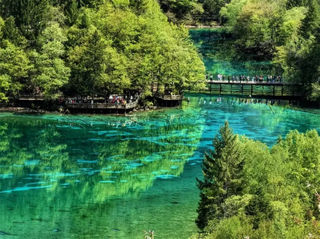 九寨沟的美，正在“夏”载中