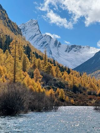 在四姑娘山附近有一个小众且人少的玛嘉沟看红叶彩林