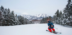 留寿都村游记图片] 日本最佳滑雪度假村23/23雪季实惠让利套餐出炉