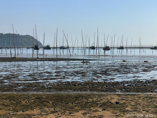霞浦（闽粤26天旅行杂记，之七）