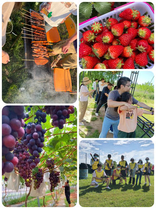 奉贤亲子采摘一日游 | 葡萄蔬菜+户外玩乐，带娃轻松嗨
