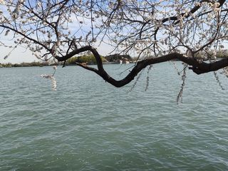 三月初的北京也很美 北京5日游