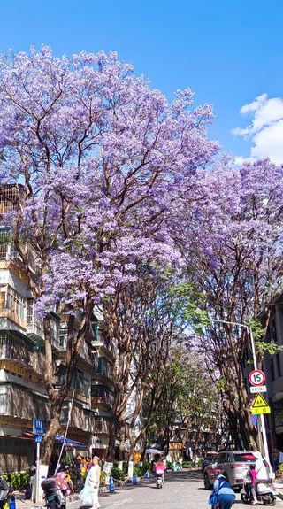 滇东南自驾之昆明、普者黑、石屏、建水