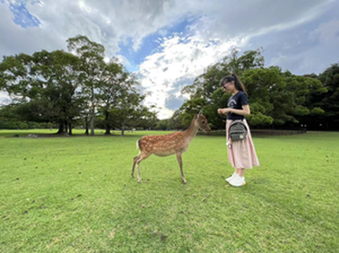 奈良游记图文-二刷大阪（奈良+环球影城+京都）