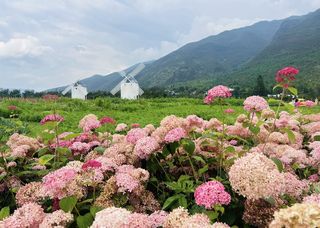 暑期旅游第三站-云南丽江