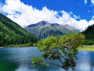 快乐电量加速回血，达古避暑才是夏天答案