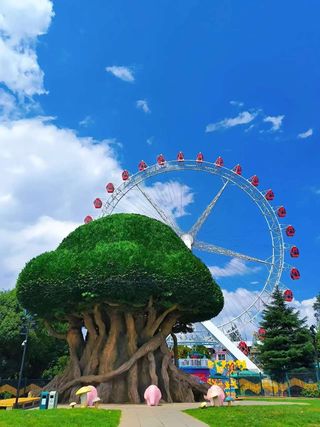 昆明20分钟转场：从翠湖到1903的浪漫暴击💘