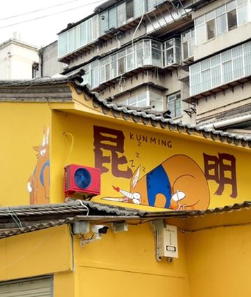 昆明翠湖丽瑞德入住:翠湖旁舒适时光😎