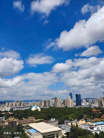 住进丽瑞德，体验非凡享受😎