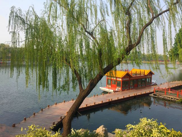 西海旅行图片 2