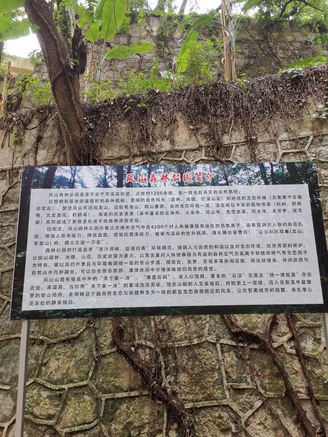 凤山森林主题公园旅行图片 5