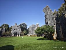 小石林景区-阿诗玛-石林-YoYo_9K6W8N2U