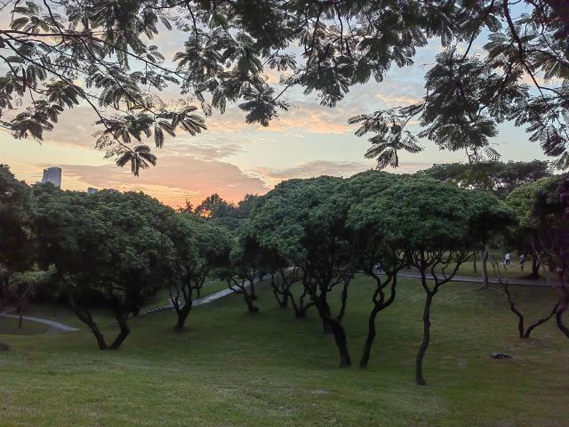 中山公园旅行图片 6