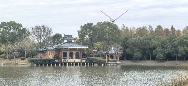上海滨海森林公园旅行图片 3
